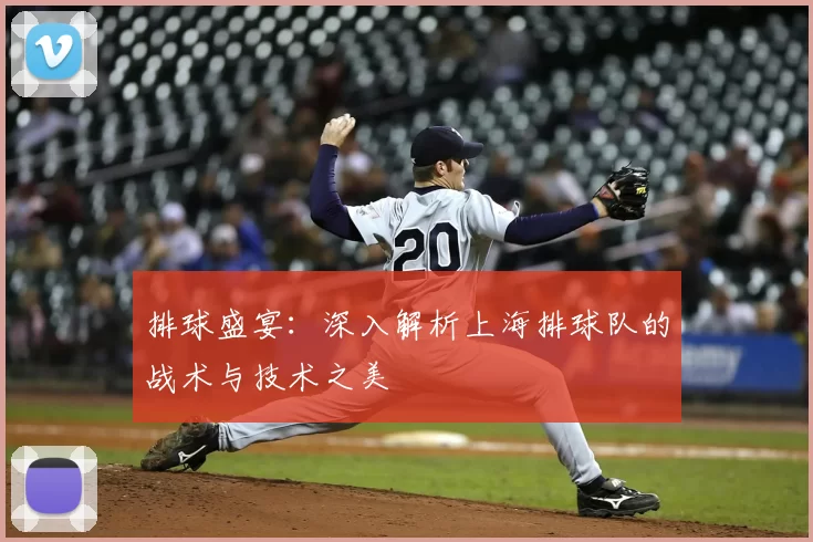排球盛宴：深入解析上海排球队的战术与技术之美