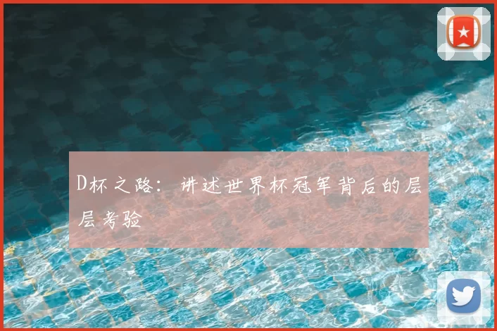 D杯之路:讲述世界杯冠军背后的层层考验