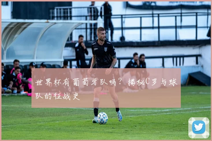 世界杯有葡萄牙队吗?揭秘C罗与球队的征战史