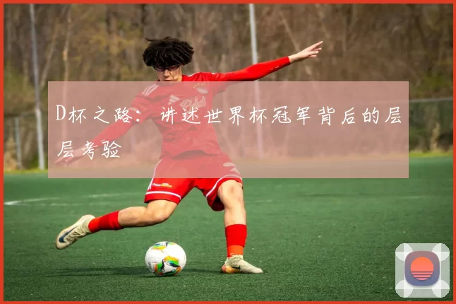 D杯之路：讲述世界杯冠军背后的层层考验