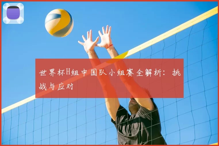 世界杯H组中国队小组赛全解析：挑战与应对