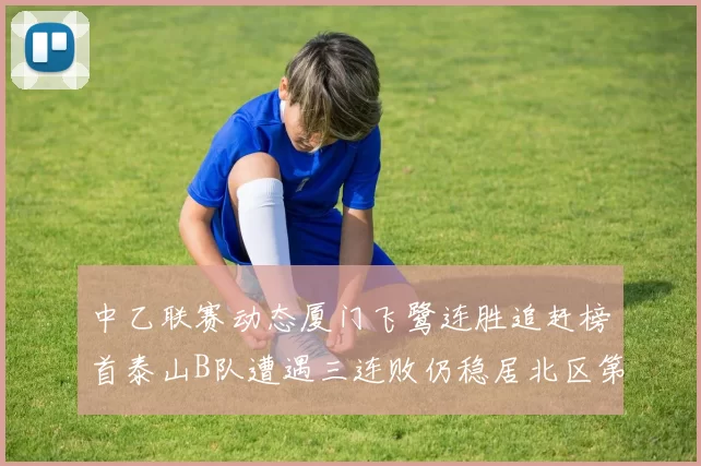 中乙联赛动态厦门飞鹭连胜追赶榜首泰山B队遭遇三连败仍稳居北区第三
