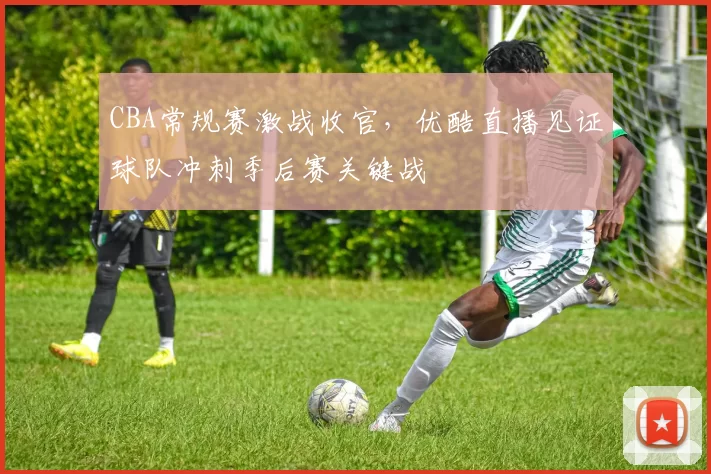 CBA常规赛激战收官,优酷直播见证球队冲刺季后赛关键战