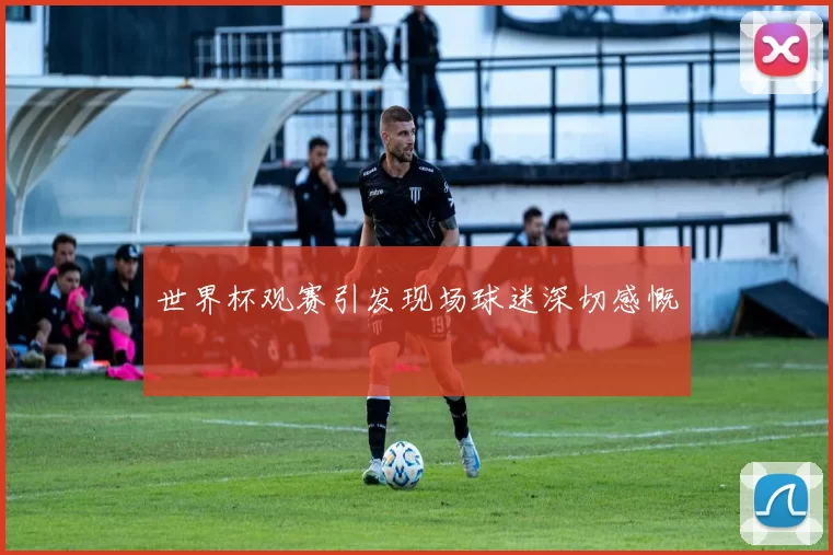 世界杯观赛引发现场球迷深切感慨