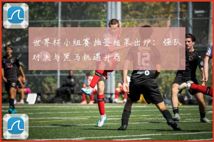 世界杯小组赛抽签结果出炉:强队对决与黑马机遇并存