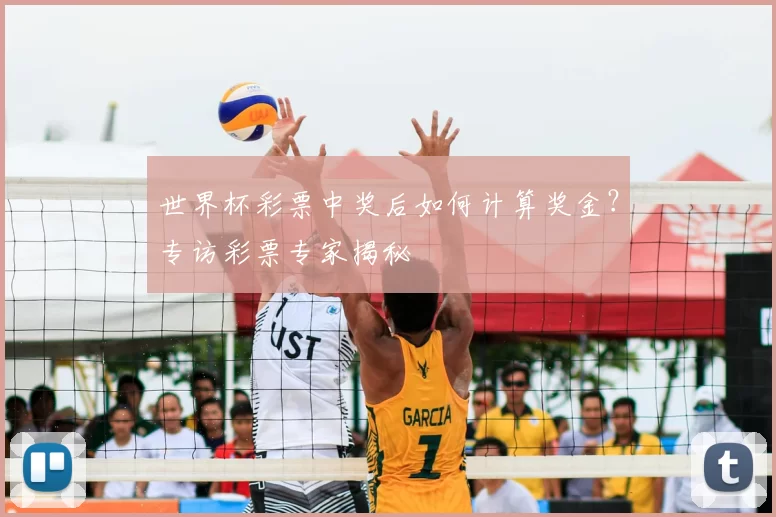 世界杯彩票中奖后如何计算奖金？专访彩票专家揭秘
