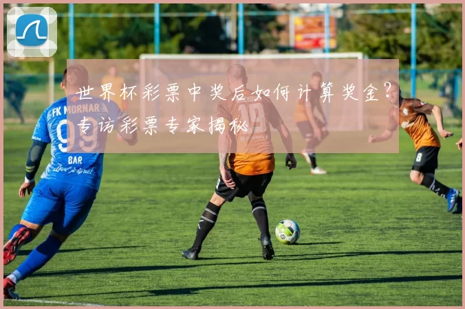 世界杯彩票中奖后如何计算奖金?专访彩票专家揭秘