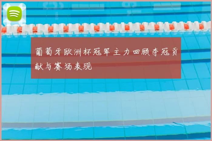 葡萄牙欧洲杯冠军主力回顾夺冠贡献与赛场表现
