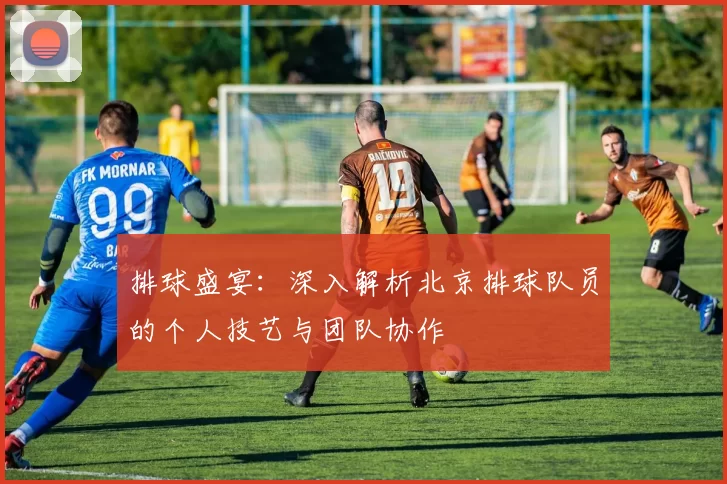 排球盛宴:深入解析北京排球队员的个人技艺与团队协作