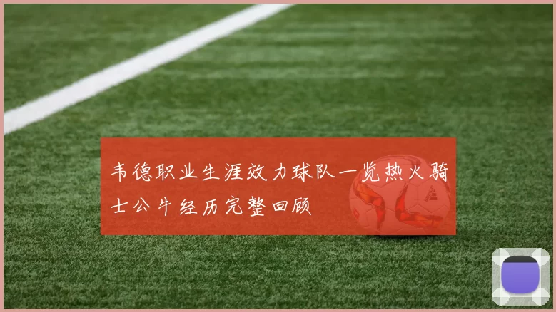 韦德职业生涯效力球队一览热火骑士公牛经历完整回顾