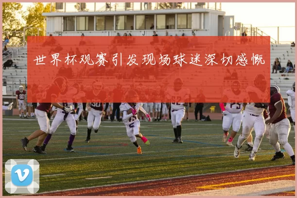 世界杯观赛引发现场球迷深切感慨