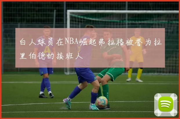 白人球员在NBA崛起弗拉格被誉为拉里伯德的接班人