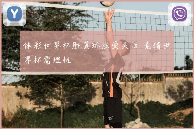体彩世界杯胜负玩法受关注 竞猜世界杯需理性